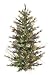 4' Pre-Lit Mixed Country Pine Wall or Door Christmas Tree - Clear Lights
