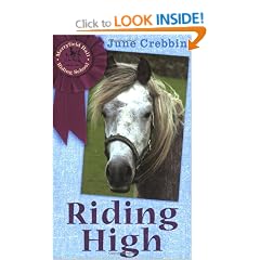 Riding High (Merryfield Hall Riding School)