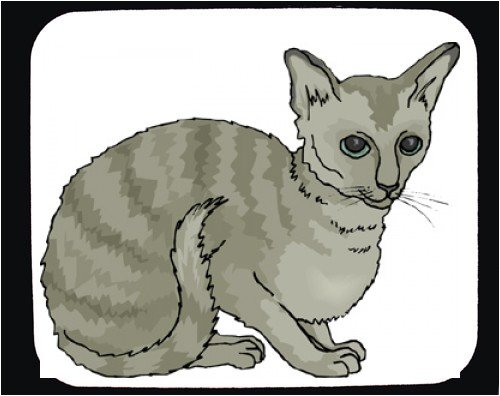 image link -  - B000T6J2TA