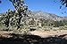 goldnuggetminer San Andreas Fault Gold Panning Paydirt