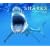 Sharks 2009 Calendar