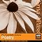 SmartPass Guide to Pre-Twentieth Century Poetry: Audio Education Study Guide