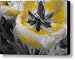Lemon Drops III Canvas Print / Canvas Art - Artist Toni Jackson