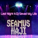 Last Night a DJ Saved My Life [12" VINYL]