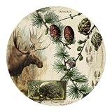 Set of 4 Natural Sandstone Coasters - Bull Moose Collage