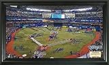MLB Toronto Blue Jays Signature Field Framed Art