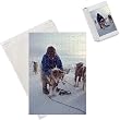 husky dog harness