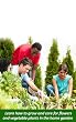 Garden design planning