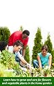 Garden design planning