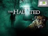 play video on Amazon Instant Video