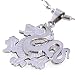 DonDon - Collier et Pendentif Dragon Porte-Bonheur en Acier Inoxydable - dans un Sac en Velours Noir
