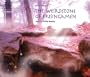 Weirdstone of Brisingamen (Junior Classics)