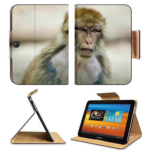 Samsung Galaxy Tab 3 10.1 Tablet Flip Case A tail less macaque found in the Atlas Mountains of Algeria and Morocco with a small IMAGE 22338742 by MSD Customized Premium Deluxe Pu Leather generation Accessori