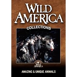 Amazing and Unique Animals Collection