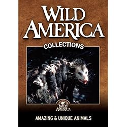 Amazing and Unique Animals Collection