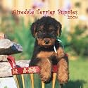 Airedale Terrier Puppies 2009 7X7 Mini Wall Calendar