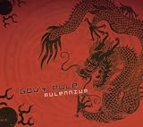 Gov't Mule Mulennium