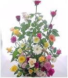 「送料無料中*花華やかバラ色々アレンジ【お届け日指定必ず*翌日届可送料無料中】祝開店開院開業お祝いアレンジ」の画像
