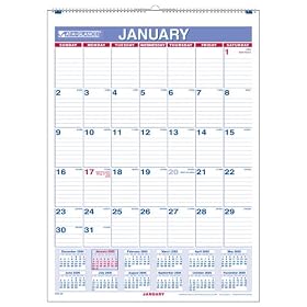 At A Glance 2010 Monthly Wall Calendar (PM128)