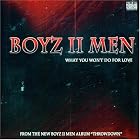 What You Won't Do for Love by Boyz II Men
