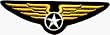 Military Wings Crest - Embroidered Iron On or Sew On Patch