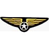 Military Wings Crest - Embroidered Iron On or Sew On Patch
