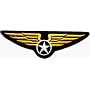 Military Wings Crest - Embroidered Iron On or Sew On Patch