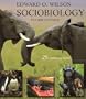 Sociobiology (Belknap Press)