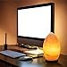 HemingWeigh Natural Himalayan Hand Crafted Crystal Salt Rock Oval Lamp with Wood Base