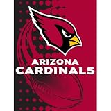 Arizona Cardinals NFL Royal Plush Raschel Blanket (Flash Series) (60x80)