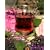 Das Sirup-Kochbuch Fruchtsirup, Blütensirup, Kräutersirup, Hustensirup und Kräuter-Honig. 160 Rezepte für jede Jahreszeit