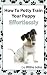 How To Potty Train Your Puppy Effortlessly? :Simple and Effective House-training For New Puppy or Mature Dog.