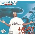 Heat 4 Yo Azz