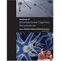 Handbook of Developmental Cognitive Neuroscience, Second Edition