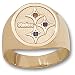 Pittsburgh Steelers NFL Logo W/Co Stones Ring Sz11 Charm (14kt)