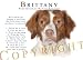 Brittany "Human Trainer" Mouse Pad Dog Mousepad