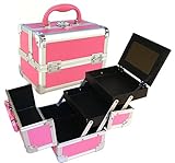 Pink Aluminum Cosmetic Train Case Style No. TS-79