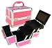 Pink Makeup Case w/ Mirror