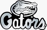 Florida Gators Silver Auto Emblem **