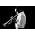 Vignette de Ambrose Akinmusire