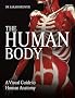 The Human Body: A Visual Guide to Human Anatomy