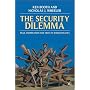 The Security Dilemma: Fear, Cooperation, and Trust in World Politics