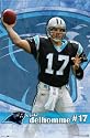 Carolina Panthers (Jake Delhomme) Sports Poster Print - 24" X 36"