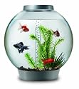 Biorb 30 Tropical Aquarium with Halogen Light Silver