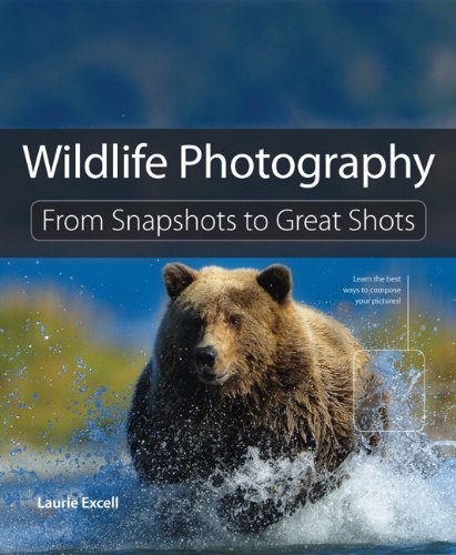 Wildlife Photography: From Snapshots to Great Shots