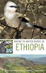 Where to Watch Birds in Ethiopia