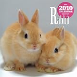 ウサギカレンダー 2010