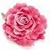 Imperial Rose Pin-Clip Duo: Click to See Other Colors