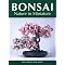 Learn the Care and Feeding of Bonsai