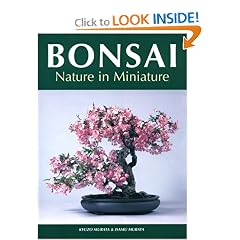 Bonsai: Nature in Miniature
